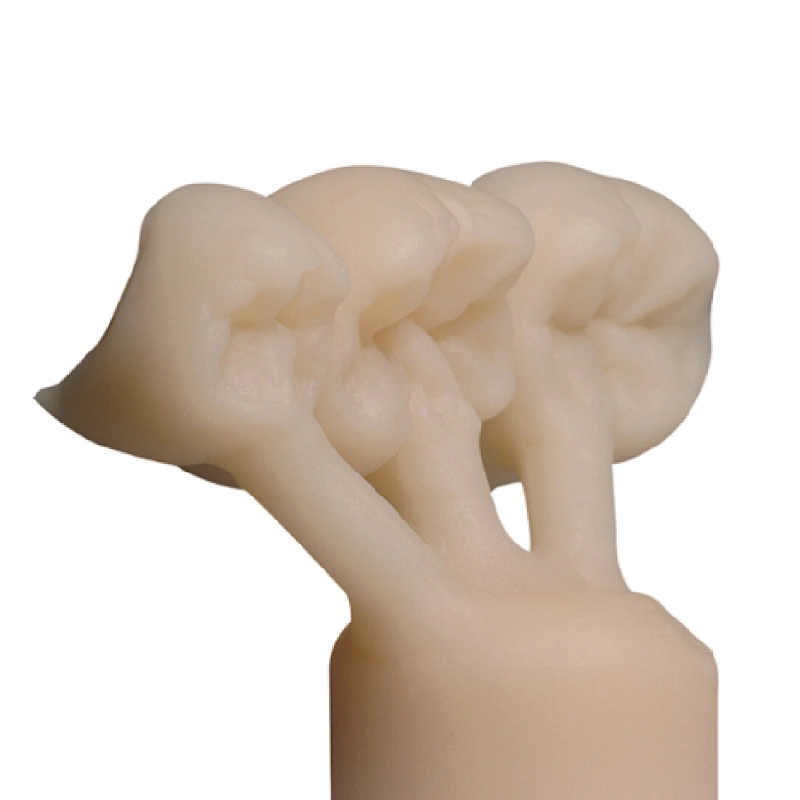 E.MAX Crown - Image 5